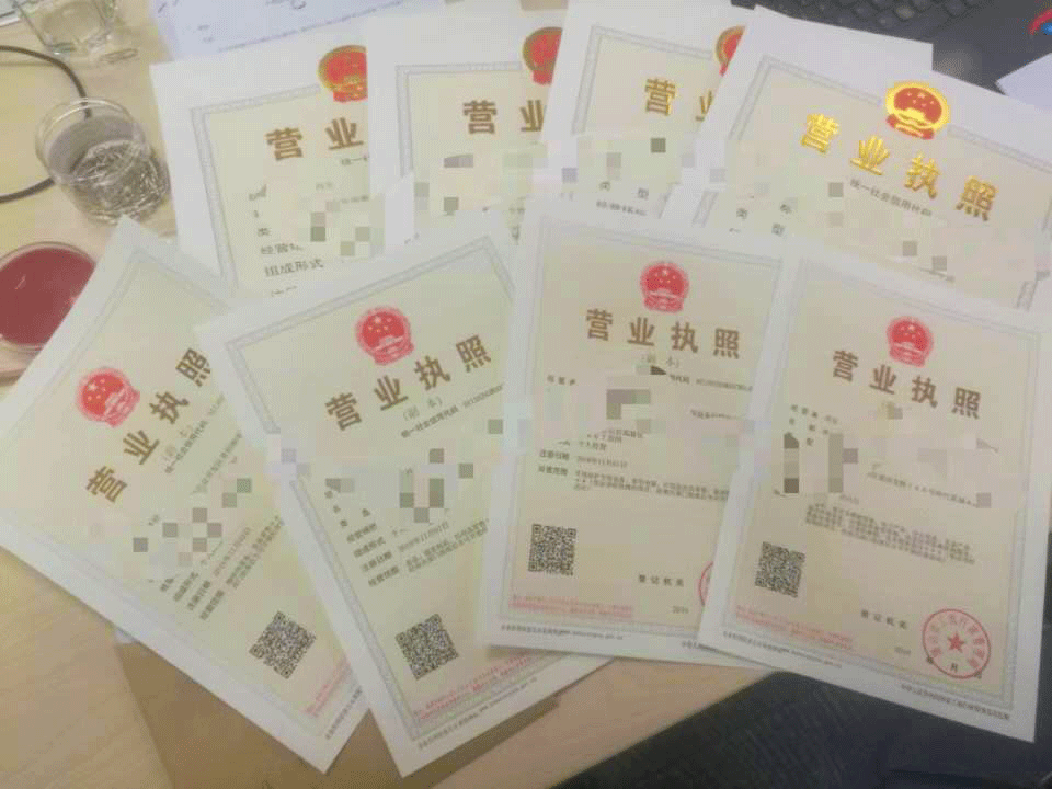 批量辦照，全力支持初創企業